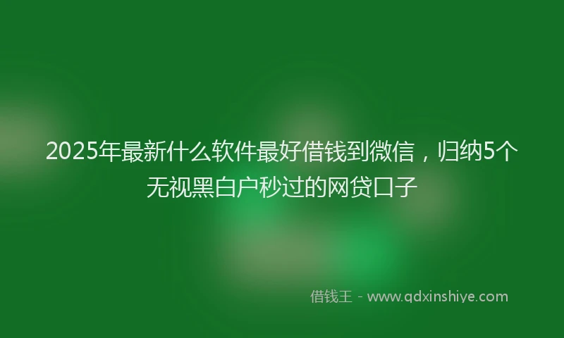 2025年最新什么软件最好借钱到微信，归纳5个无视黑白户秒过的网贷口子
