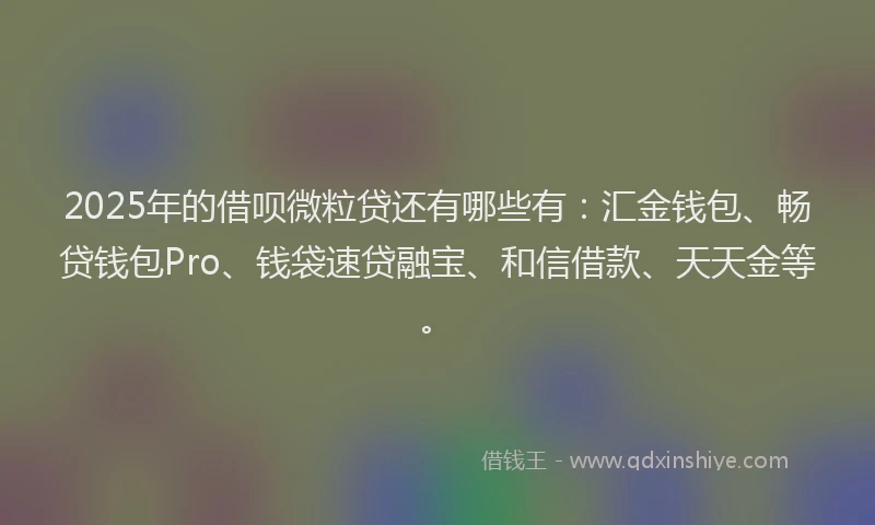 2025年的借呗微粒贷还有哪些有：汇金钱包、畅贷钱包Pro、钱袋速贷融宝、和信借款、天天金等。