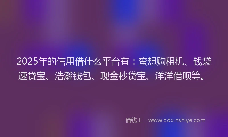2025年的信用借什么平台有：蛮想购租机、钱袋速贷宝、浩瀚钱包、现金秒贷宝、洋洋借呗等。