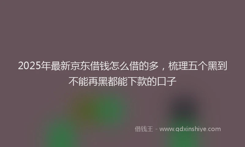 2025年最新京东借钱怎么借的多，梳理五个黑到不能再黑都能下款的口子