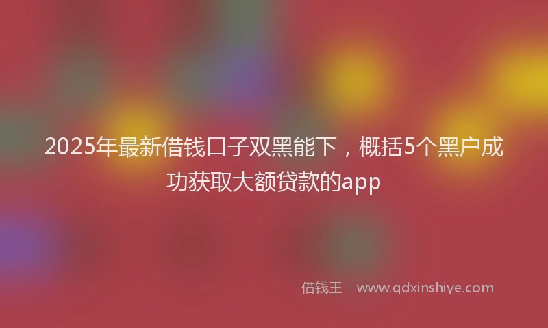 2025年最新借钱口子双黑能下，概括5个黑户成功获取大额贷款的app