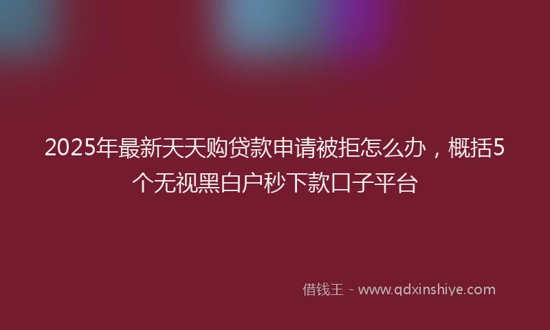 2025年最新天天购贷款申请被拒怎么办，概括5个无视黑白户秒下款口子平台