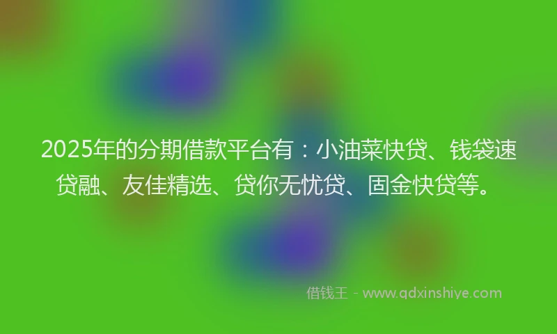 2025年的分期借款平台有：小油菜快贷、钱袋速贷融、友佳精选、贷你无忧贷、固金快贷等。