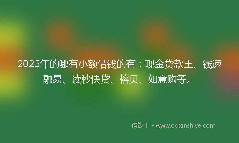 2025年的哪有小额借钱的有：现金贷款王、钱速融易、读秒快贷、榕贝、如意购等。