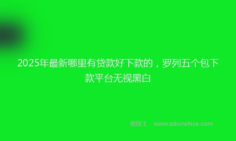 2025年最新哪里有贷款好下款的，罗列五个包下款平台无视黑白