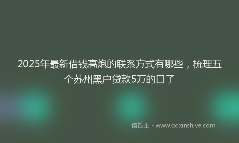 2025年最新借钱高炮的联系方式有哪些，梳理五个苏州黑户贷款5万的口子