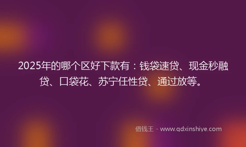 2025年的哪个区好下款有：钱袋速贷、现金秒融贷、口袋花、苏宁任性贷、通过放等。