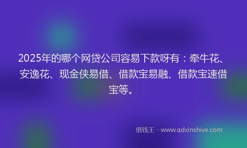 2025年的哪个网贷公司容易下款呀有：牵牛花、安逸花、现金侠易借、借款宝易融、借款宝速借宝等。