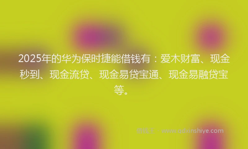 2025年的华为保时捷能借钱有：爱木财富、现金秒到、现金流贷、现金易贷宝通、现金易融贷宝等。