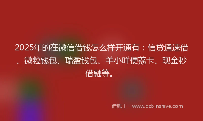 2025年的在微信借钱怎么样开通有：信贷通速借、微粒钱包、瑞盈钱包、羊小咩便荔卡、现金秒借融等。