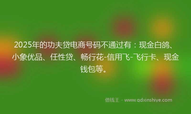 2025年的功夫贷电商号码不通过有：现金白鸽、小象优品、任性贷、畅行花-信用飞-飞行卡、现金钱包等。
