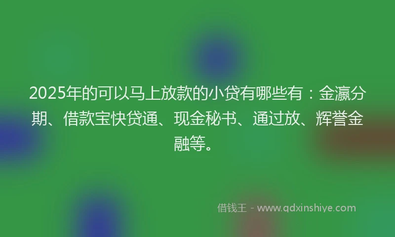 2025年的可以马上放款的小贷有哪些有：金瀛分期、借款宝快贷通、现金秘书、通过放、辉誉金融等。