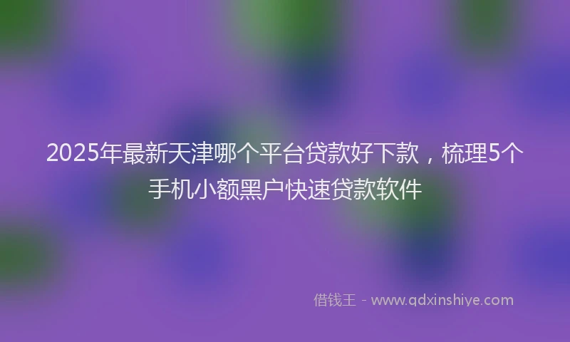 2025年最新天津哪个平台贷款好下款，梳理5个手机小额黑户快速贷款软件