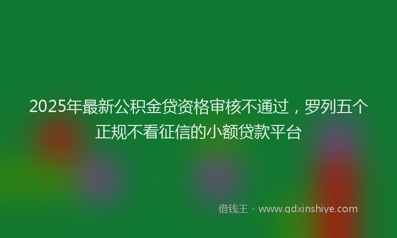 2025年最新公积金贷资格审核不通过，罗列五个正规不看征信的小额贷款平台