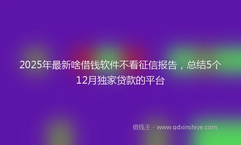 2025年最新啥借钱软件不看征信报告，总结5个12月独家贷款的平台