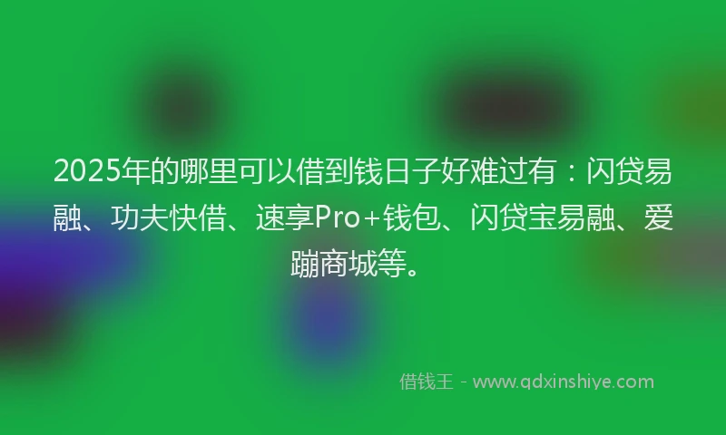 2025年的哪里可以借到钱日子好难过有：闪贷易融、功夫快借、速享Pro+钱包、闪贷宝易融、爱蹦商城等。
