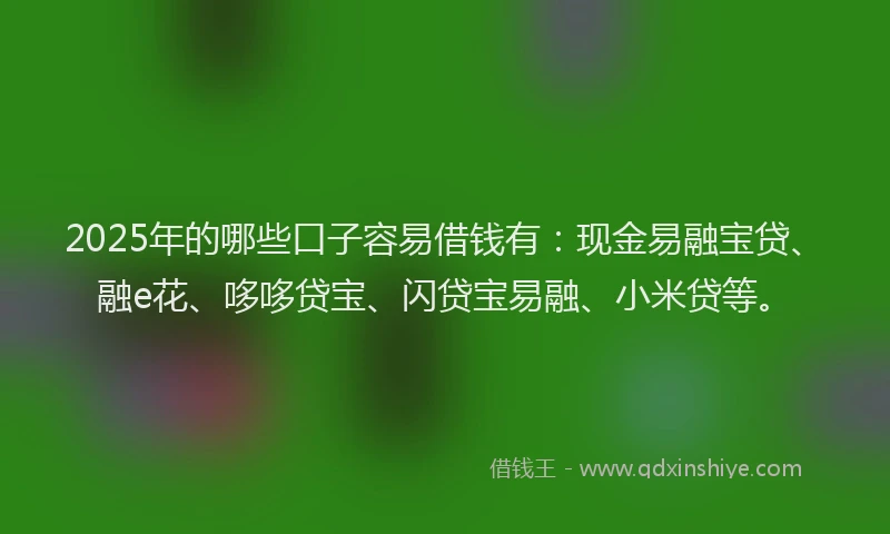 2025年的哪些口子容易借钱有：现金易融宝贷、融e花、哆哆贷宝、闪贷宝易融、小米贷等。