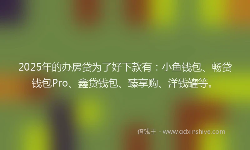2025年的办房贷为了好下款有：小鱼钱包、畅贷钱包Pro、鑫贷钱包、臻享购、洋钱罐等。