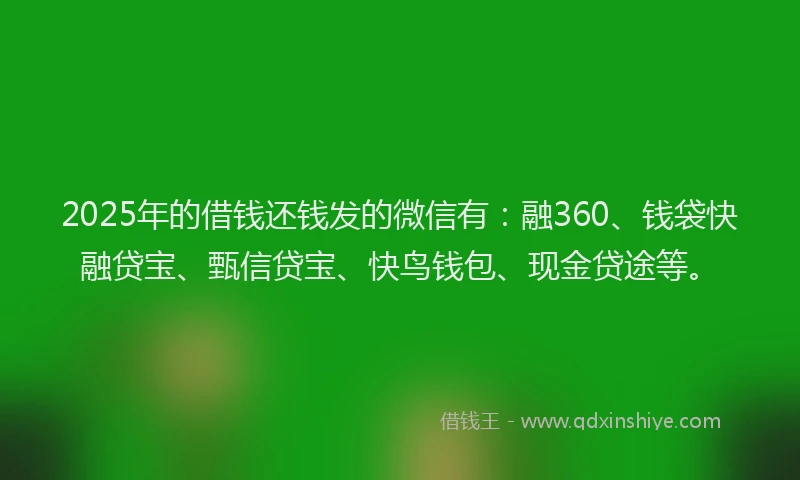 2025年的借钱还钱发的微信有：融360、钱袋快融贷宝、甄信贷宝、快鸟钱包、现金贷途等。