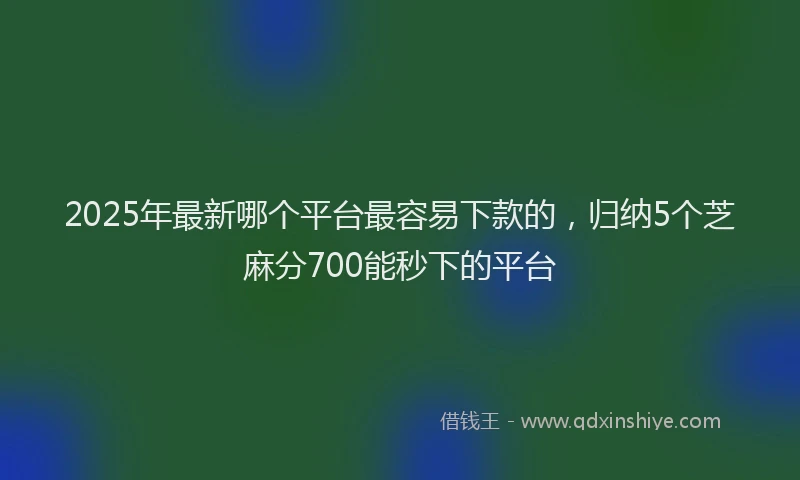 2025年最新哪个平台最容易下款的，归纳5个芝麻分700能秒下的平台