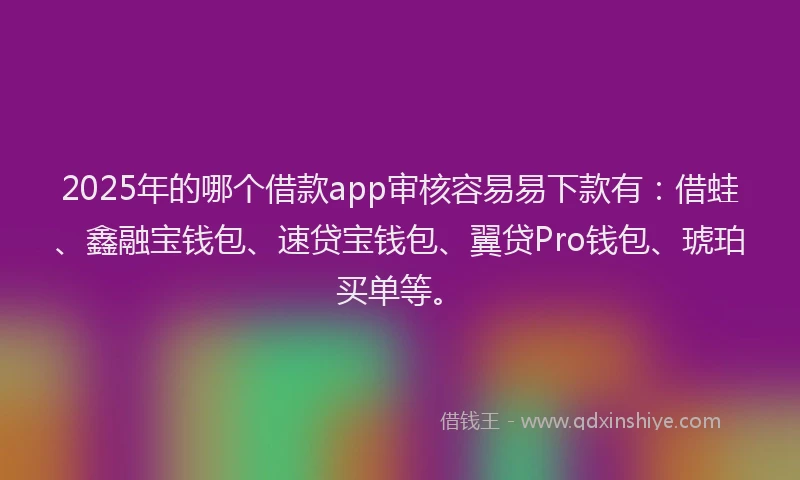 2025年的哪个借款app审核容易易下款有：借蛙、鑫融宝钱包、速贷宝钱包、翼贷Pro钱包、琥珀买单等。