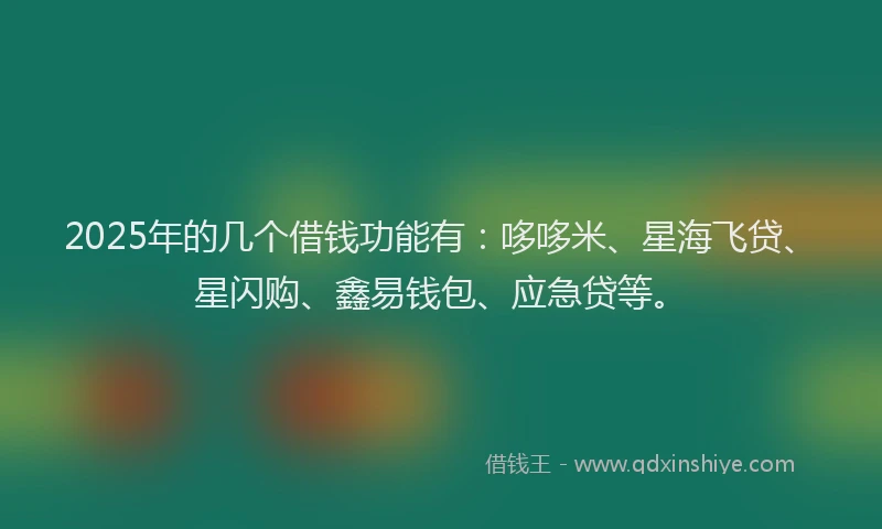 2025年的几个借钱功能有：哆哆米、星海飞贷、星闪购、鑫易钱包、应急贷等。