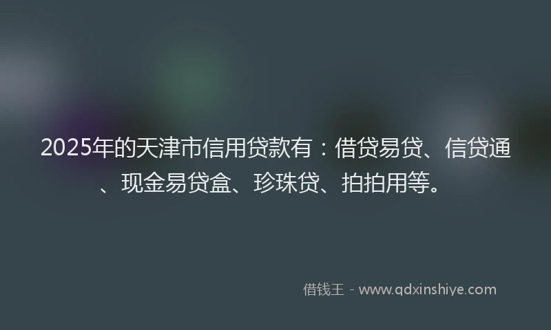 2025年的天津市信用贷款有：借贷易贷、信贷通、现金易贷盒、珍珠贷、拍拍用等。