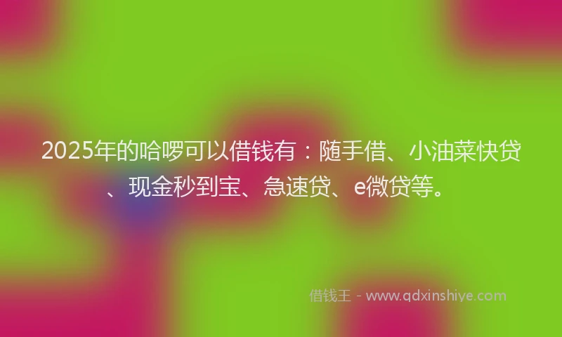 2025年的哈啰可以借钱有：随手借、小油菜快贷、现金秒到宝、急速贷、e微贷等。