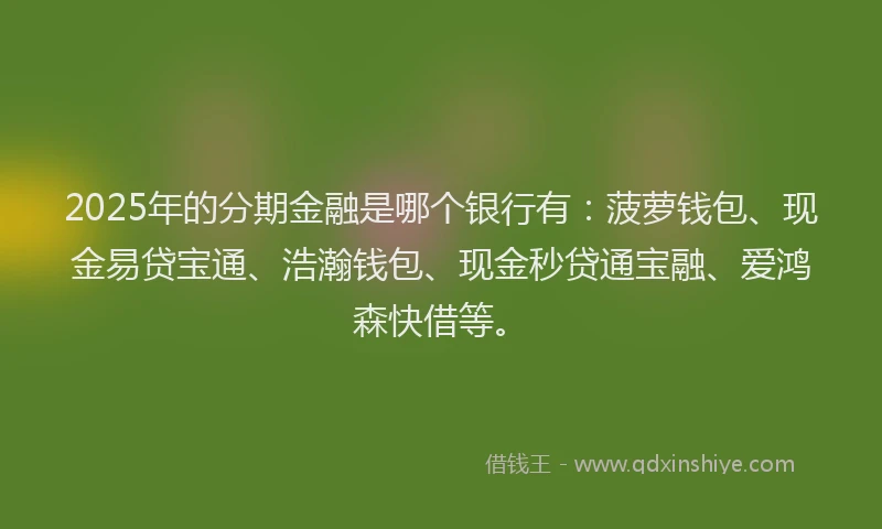 2025年的分期金融是哪个银行有：菠萝钱包、现金易贷宝通、浩瀚钱包、现金秒贷通宝融、爱鸿森快借等。