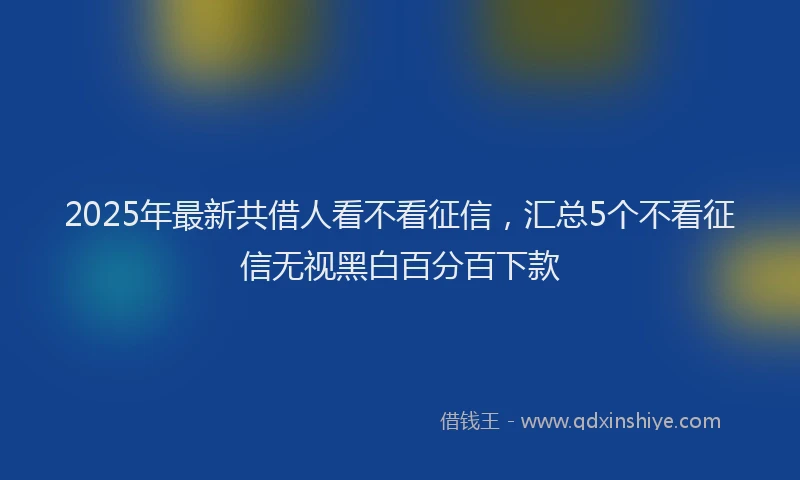 2025年最新共借人看不看征信，汇总5个不看征信无视黑白百分百下款