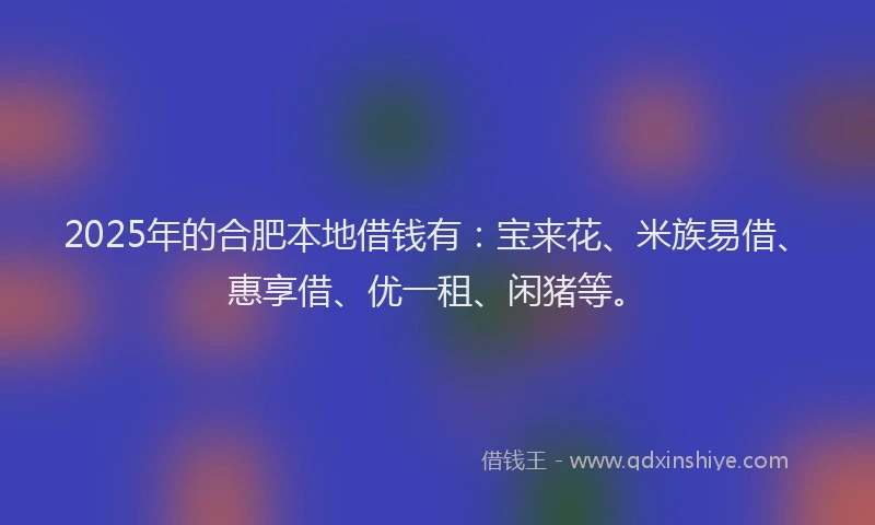 2025年的合肥本地借钱有：宝来花、米族易借、惠享借、优一租、闲猪等。