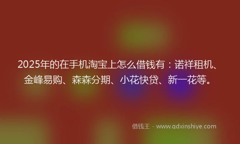 2025年的在手机淘宝上怎么借钱有：诺祥租机、金峰易购、森森分期、小花快贷、新一花等。