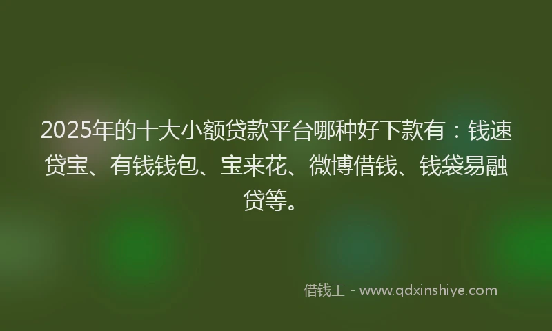 2025年的十大小额贷款平台哪种好下款有：钱速贷宝、有钱钱包、宝来花、微博借钱、钱袋易融贷等。