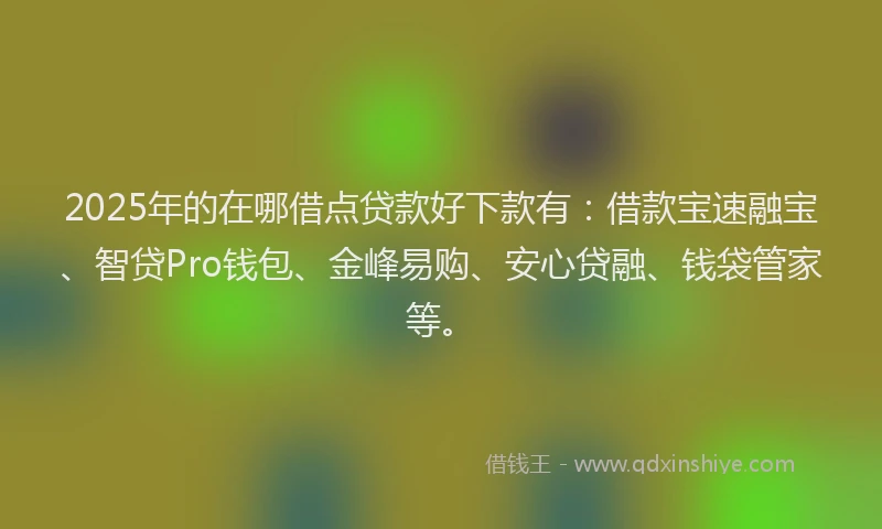 2025年的在哪借点贷款好下款有：借款宝速融宝、智贷Pro钱包、金峰易购、安心贷融、钱袋管家等。