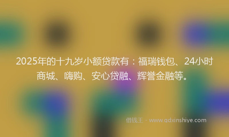 2025年的十九岁小额贷款有：福瑞钱包、24小时商城、嗨购、安心贷融、辉誉金融等。