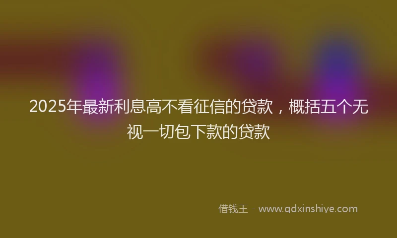 2025年最新利息高不看征信的贷款，概括五个无视一切包下款的贷款