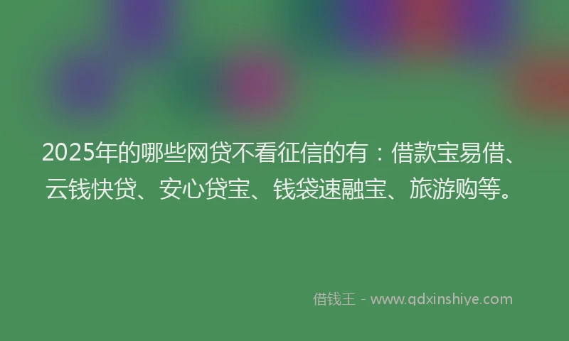 2025年的哪些网贷不看征信的有：借款宝易借、云钱快贷、安心贷宝、钱袋速融宝、旅游购等。