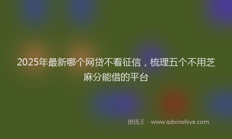 2025年最新哪个网贷不看征信，梳理五个不用芝麻分能借的平台