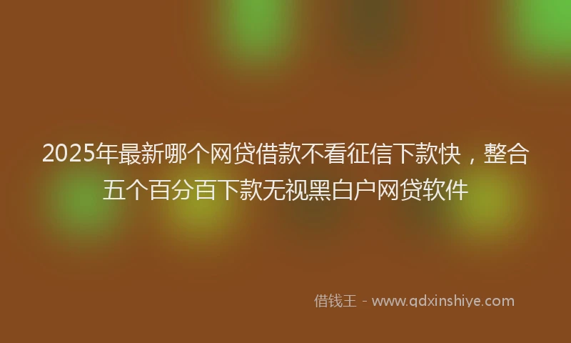 2025年最新哪个网贷借款不看征信下款快，整合五个百分百下款无视黑白户网贷软件