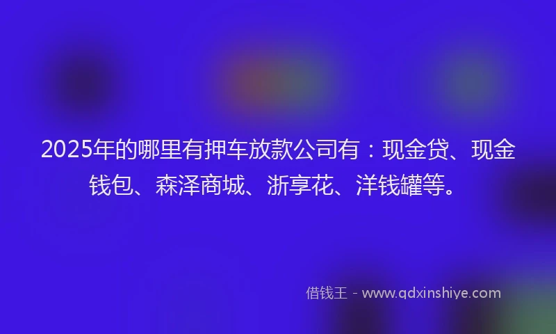 2025年的哪里有押车放款公司有：现金贷、现金钱包、森泽商城、浙享花、洋钱罐等。