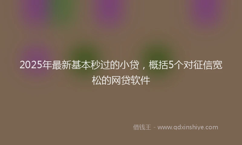 2025年最新基本秒过的小贷，概括5个对征信宽松的网贷软件