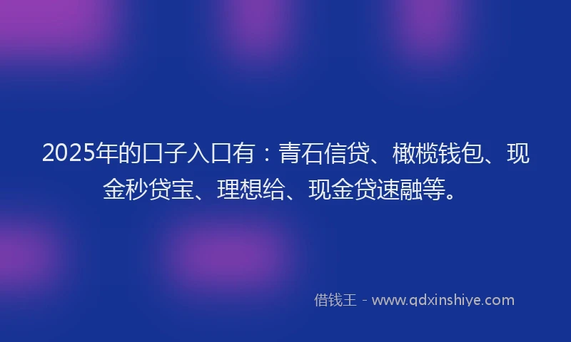 2025年的口子入口有：青石信贷、橄榄钱包、现金秒贷宝、理想给、现金贷速融等。