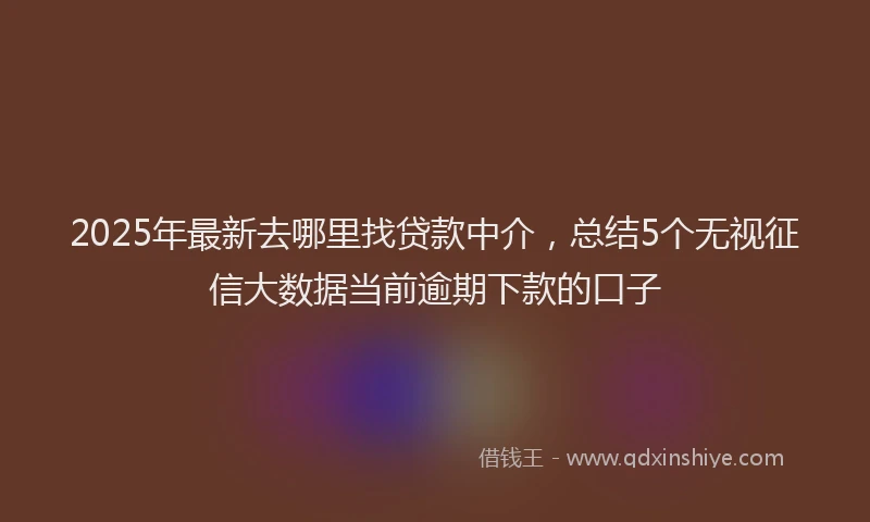 2025年最新去哪里找贷款中介，总结5个无视征信大数据当前逾期下款的口子