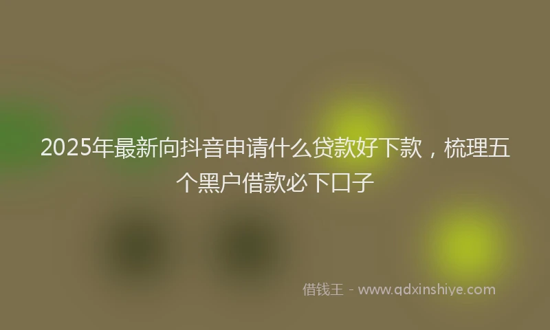 2025年最新向抖音申请什么贷款好下款，梳理五个黑户借款必下口子