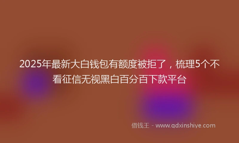 2025年最新大白钱包有额度被拒了，梳理5个不看征信无视黑白百分百下款平台