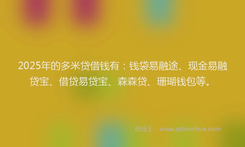 2025年的多米贷借钱有：钱袋易融途、现金易融贷宝、借贷易贷宝、森森贷、珊瑚钱包等。