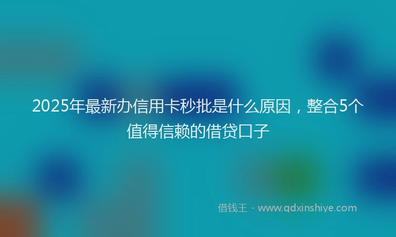 2025年最新办信用卡秒批是什么原因，整合5个值得信赖的借贷口子