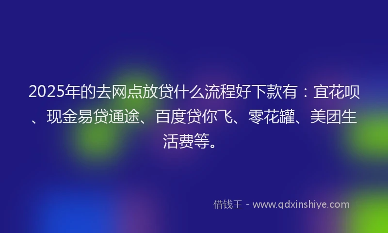 2025年的去网点放贷什么流程好下款有：宜花呗、现金易贷通途、百度贷你飞、零花罐、美团生活费等。
