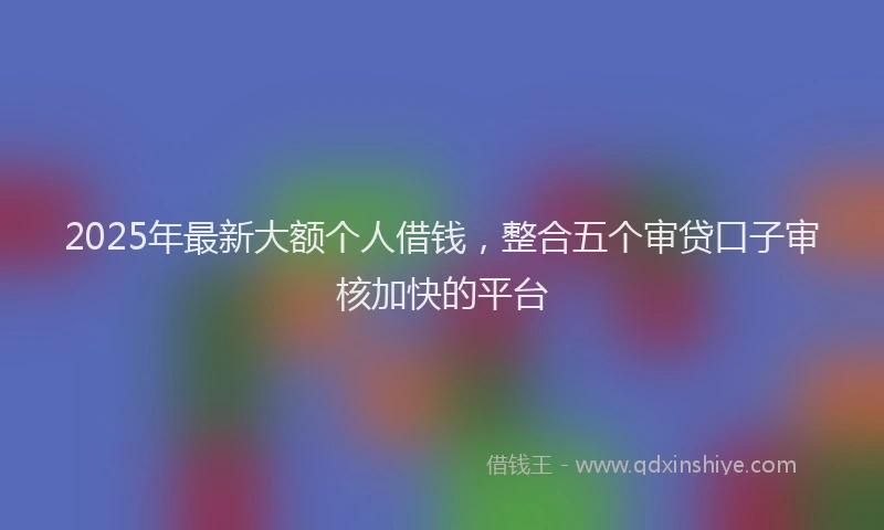 2025年最新大额个人借钱，整合五个审贷口子审核加快的平台