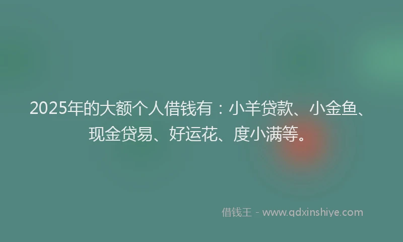 2025年的大额个人借钱有：小羊贷款、小金鱼、现金贷易、好运花、度小满等。
